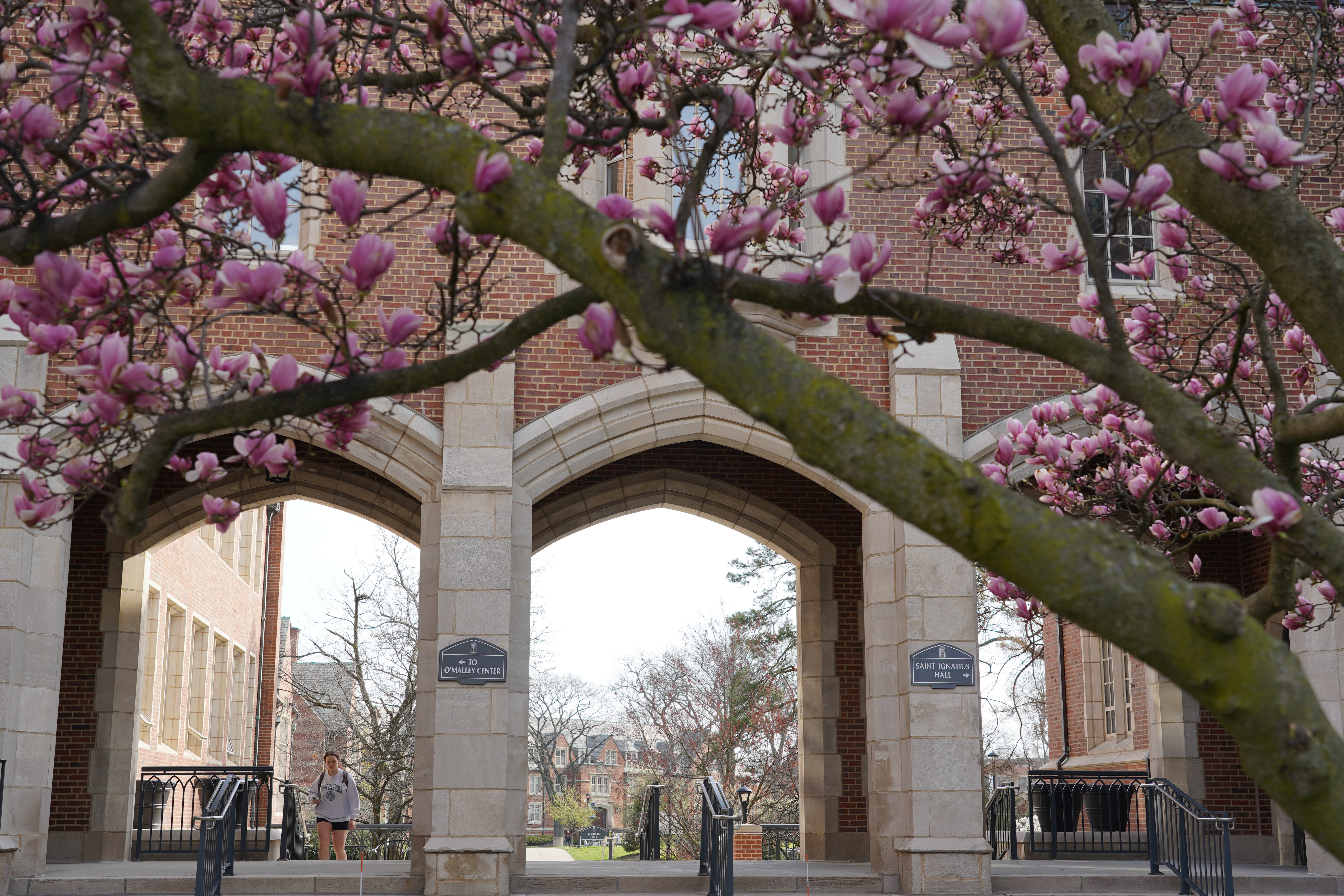 jcu campus arches