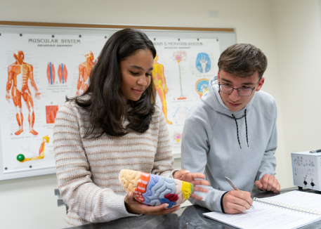 students studying the brain in a classroom