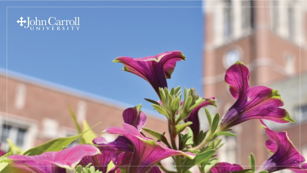 zoom virtual background - campus flowers
