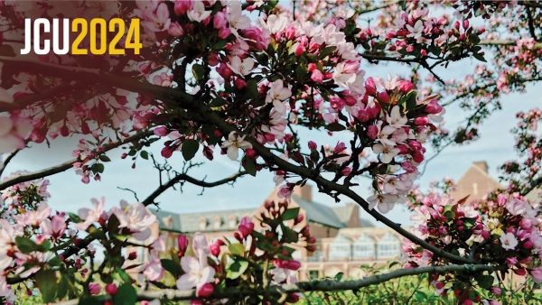 zoom virtual background - pink spring flowers