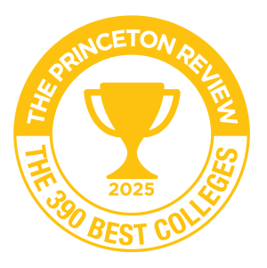 Princeton Best 390 Colleges Badge