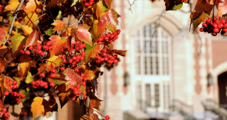 fall leaves with the administration building in the background