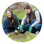 students planting