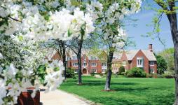 Photo of white spring flowers with a residence hall in the background.