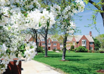 Photo of white spring flowers with a residence hall in the background.